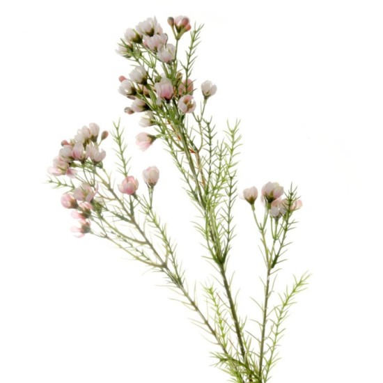 Artificial Wax Flowers Blush Pink 78cm Artificial Flowers